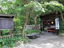 shimizuya