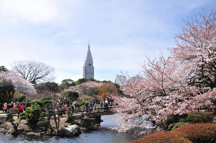 shinjuku_gyoen