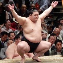 豪栄道
